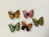 5 Holzknöpfe Schmetterling