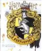 Hufflepuff scarf - Harry Potter